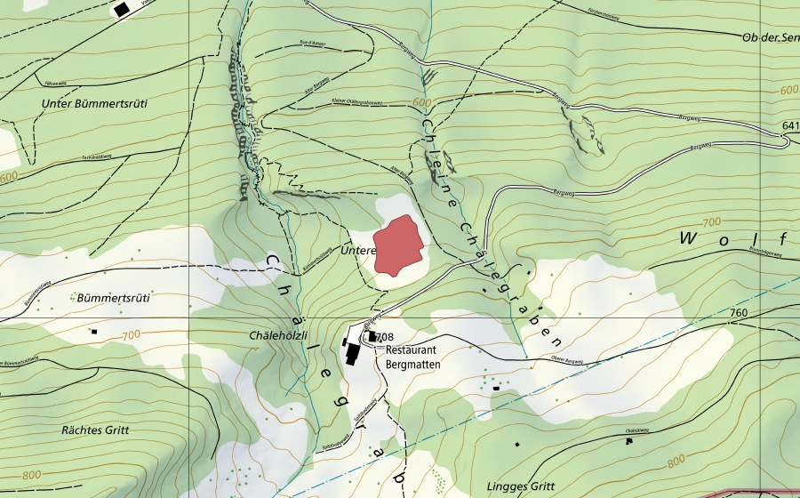Carta nazionale swisstopo con il perimetro protetto di Bergmatten (Prato secco)