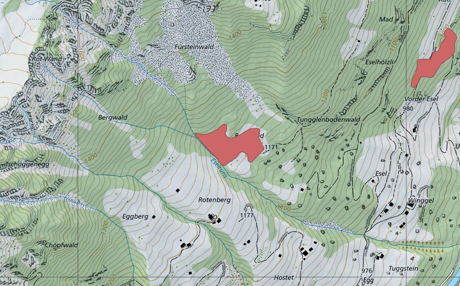 Landeskarte swisstopo mit dem Schutzperimeter von Bergweid (Trockenwiese)