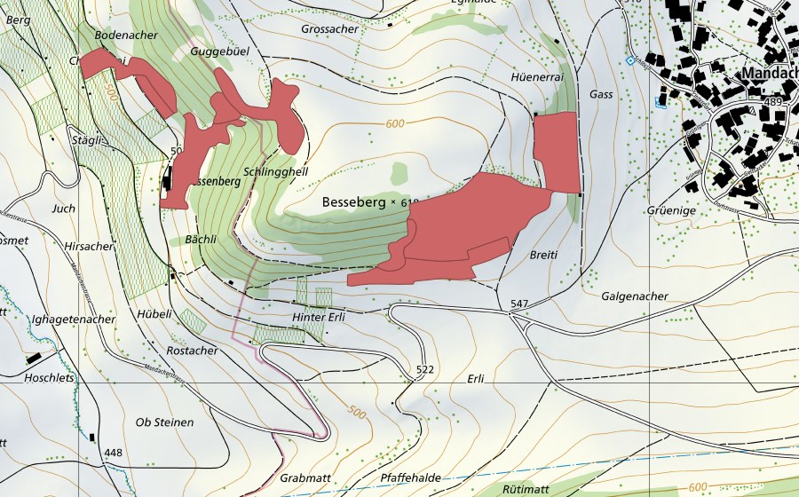 swisstopo national map showing the protected perimeter of Besseberg (Dry meadow)