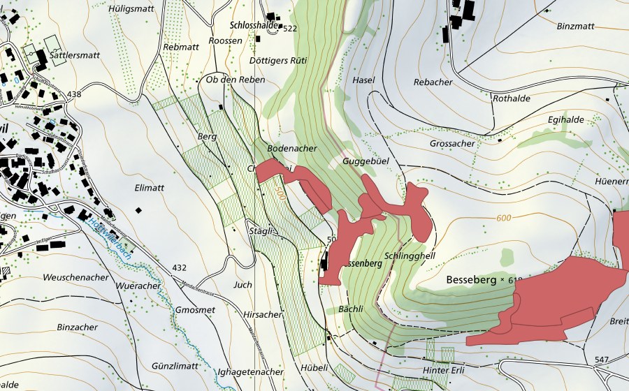 swisstopo national map showing the protected perimeter of Besseberg (Dry meadow)