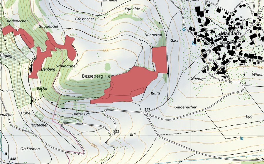 swisstopo national map showing the protected perimeter of Besseberg (Dry meadow)
