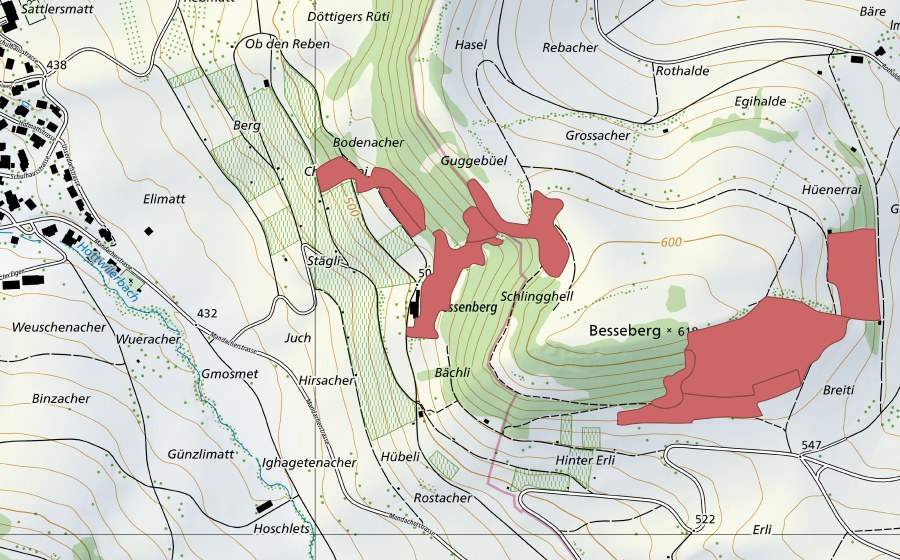 Landeskarte swisstopo mit dem Schutzperimeter von Besseberg (Trockenwiese)
