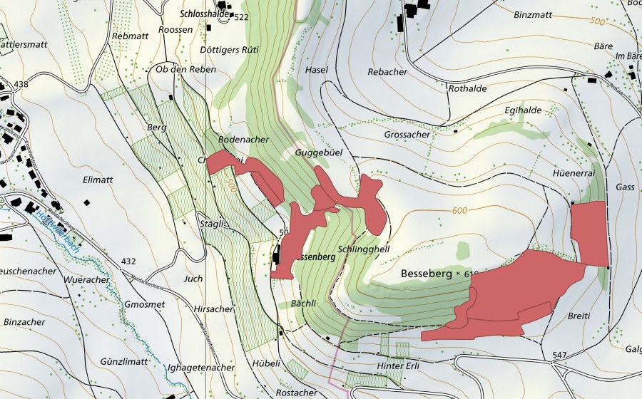 Carte nationale swisstopo avec le périmètre protégé de Besseberg (Prairie sèche)