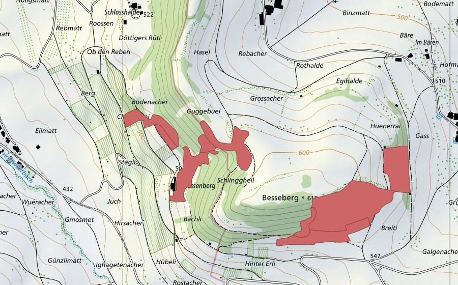Carte nationale swisstopo avec le périmètre protégé de Besseberg (Prairie sèche)