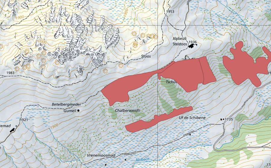 swisstopo national map showing the protected perimeter of Betelbergmeder (Dry meadow)