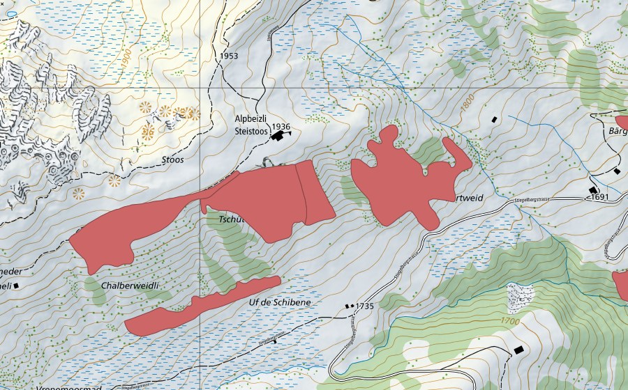 swisstopo national map showing the protected perimeter of Betelbergmeder (Dry meadow)