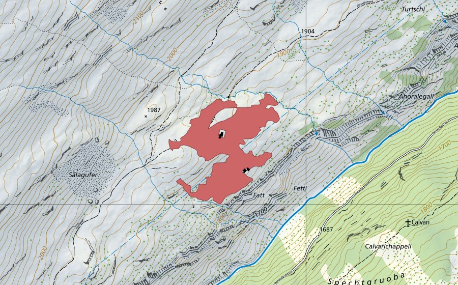 Landeskarte swisstopo mit dem Schutzperimeter von Bidanätsch (Trockenwiese)