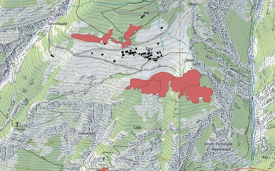 Landeskarte swisstopo mit dem Schutzperimeter von Biela (Trockenwiese)