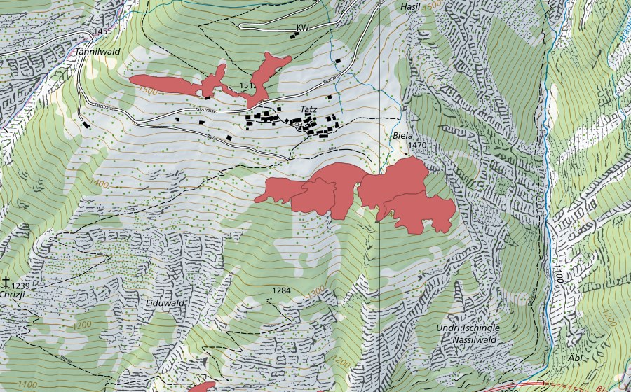Landeskarte swisstopo mit dem Schutzperimeter von Biela (Trockenwiese)