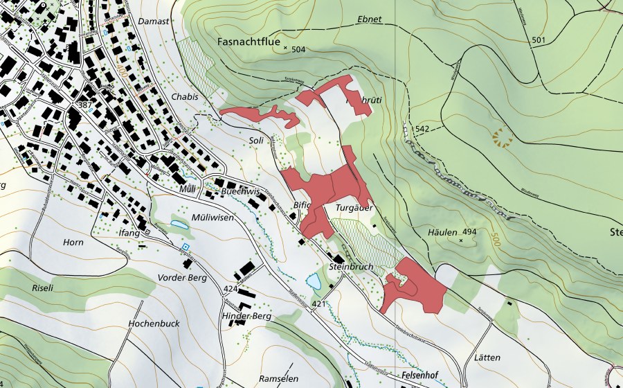 swisstopo national map showing the protected perimeter of Bifig (Dry meadow)