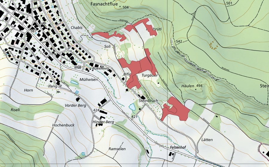 Landeskarte swisstopo mit dem Schutzperimeter von Bifig (Trockenwiese)