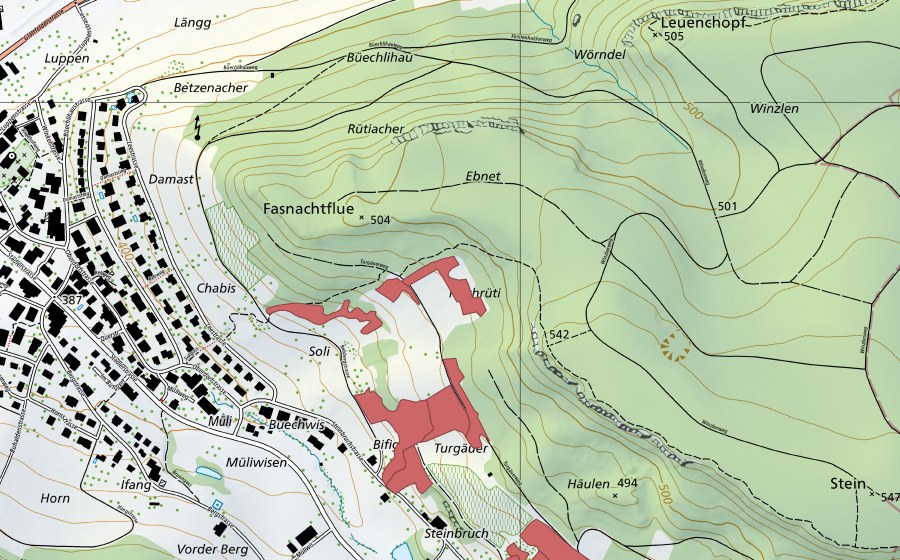 Landeskarte swisstopo mit dem Schutzperimeter von Bifig (Trockenwiese)