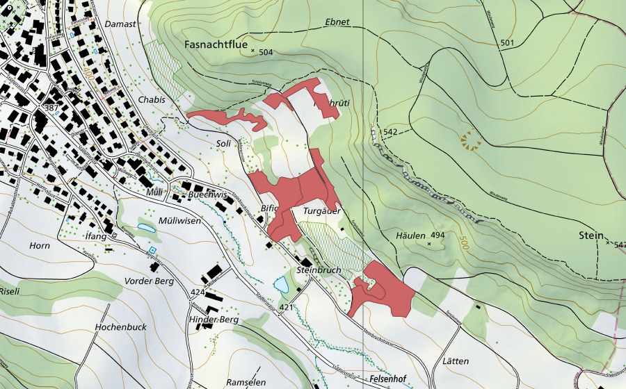 swisstopo national map showing the protected perimeter of Bifig (Dry meadow)