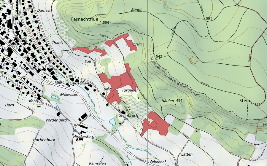 Landeskarte swisstopo mit dem Schutzperimeter von Bifig (Trockenwiese)