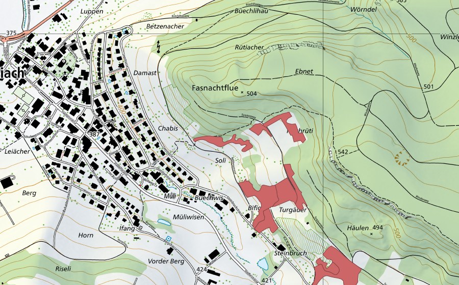 Carte nationale swisstopo avec le périmètre protégé de Bifig (Prairie sèche)