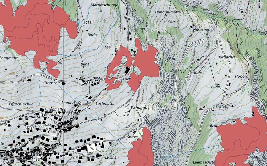 Carte nationale swisstopo avec le périmètre protégé de Bina (Prairie sèche)