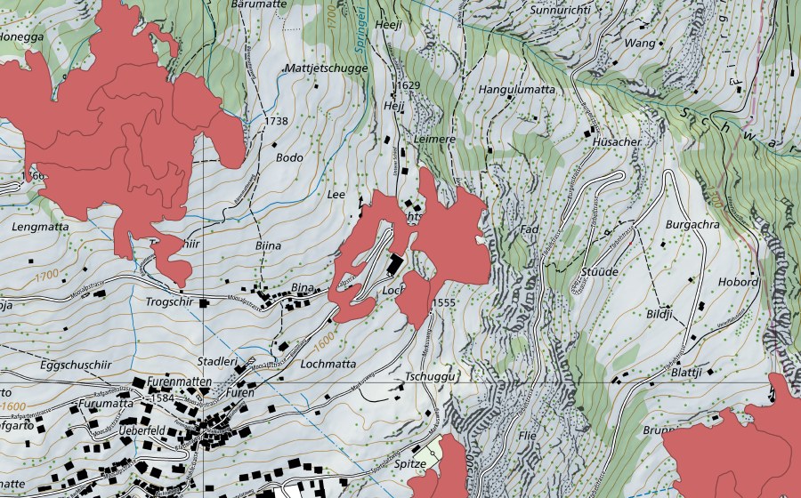 swisstopo national map showing the protected perimeter of Bina (Dry meadow)