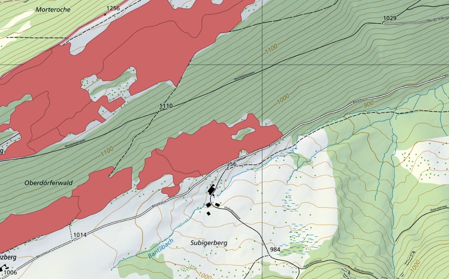 swisstopo national map showing the protected perimeter of Binzberg (Dry meadow)