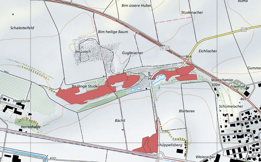 Landeskarte swisstopo mit dem Schutzperimeter von Bir länge Stude (Trockenwiese)