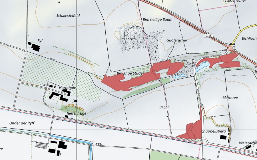 swisstopo national map showing the protected perimeter of Bir länge Stude (Dry meadow)