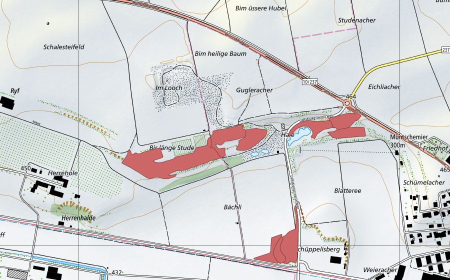 swisstopo national map showing the protected perimeter of Bir länge Stude (Dry meadow)