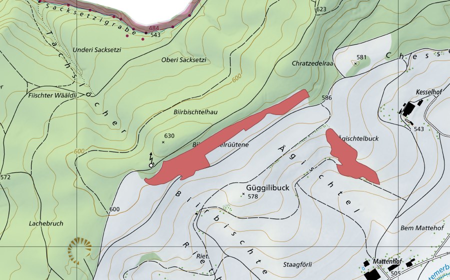 Carte nationale swisstopo avec le périmètre protégé de Birbistel (Prairie sèche)