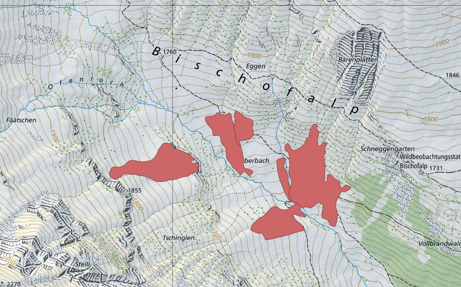 Carta nazionale swisstopo con il perimetro protetto di Bischofbach (Prato secco)
