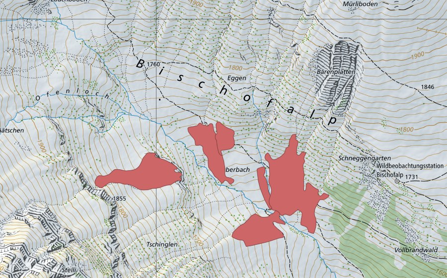 swisstopo national map showing the protected perimeter of Bischofbach (Dry meadow)