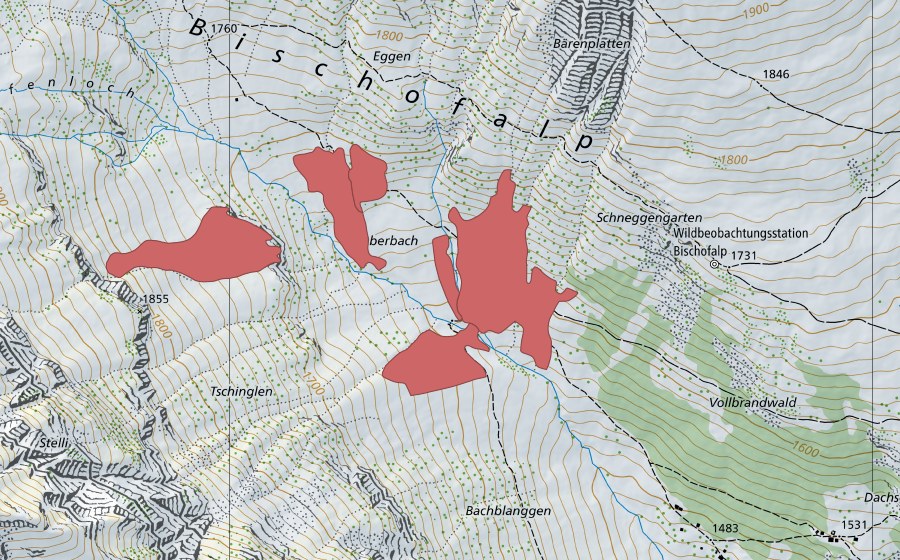 swisstopo national map showing the protected perimeter of Bischofbach (Dry meadow)