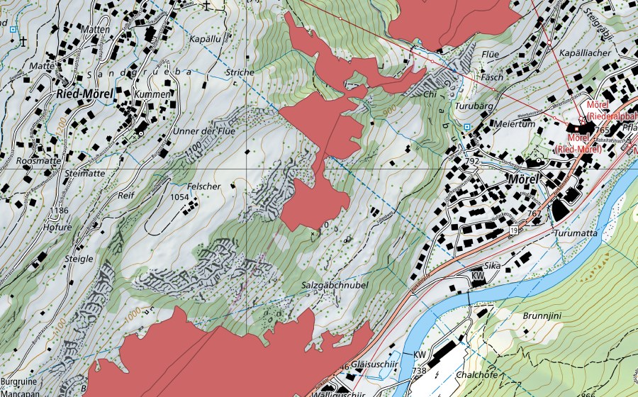 Carte nationale swisstopo avec le périmètre protégé de Bisterli (Prairie sèche)