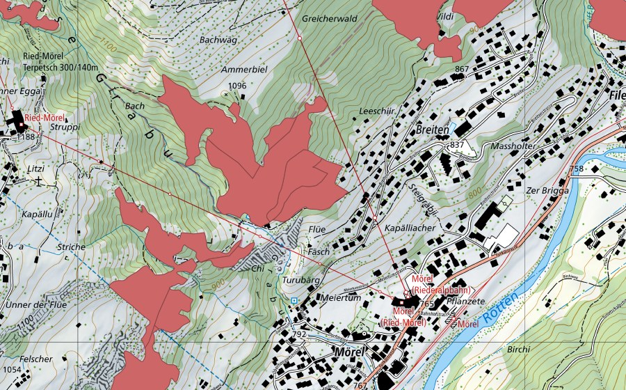 swisstopo national map showing the protected perimeter of Bisterli (Dry meadow)