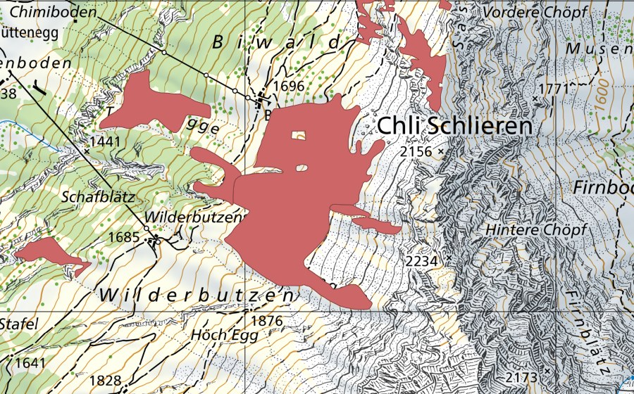 swisstopo national map showing the protected perimeter of Biwaldalp (Dry meadow)