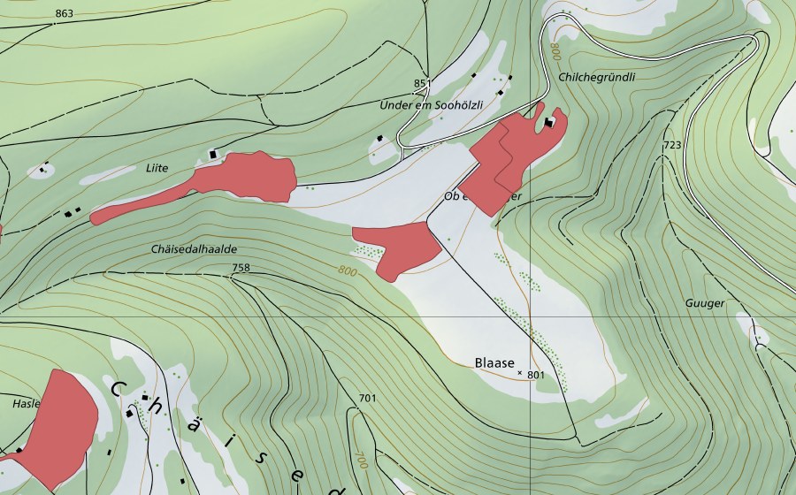 Landeskarte swisstopo mit dem Schutzperimeter von Blaasen (Trockenwiese)