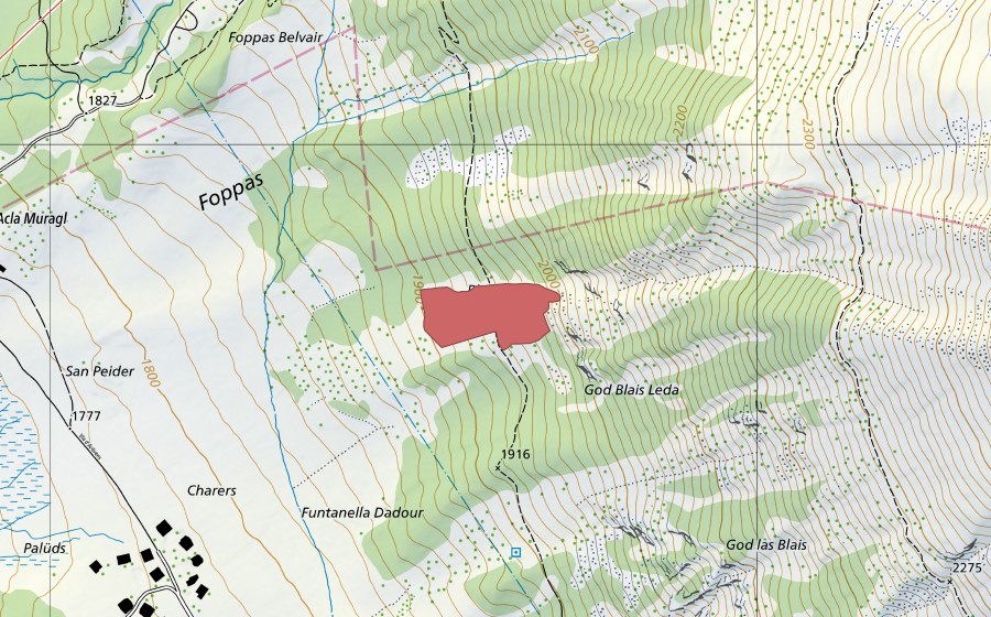 Landeskarte swisstopo mit dem Schutzperimeter von Blais Leda (Trockenwiese)