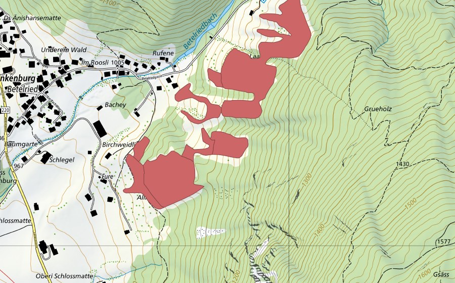 swisstopo national map showing the protected perimeter of Blankenburg (Dry meadow)