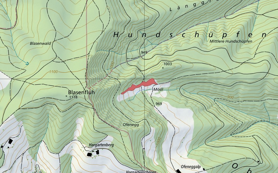 Landeskarte swisstopo mit dem Schutzperimeter von Blaseflue (Trockenwiese)