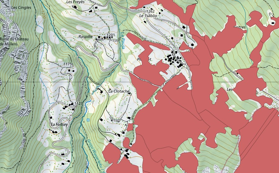 swisstopo national map showing the protected perimeter of Blatte (Dry meadow)