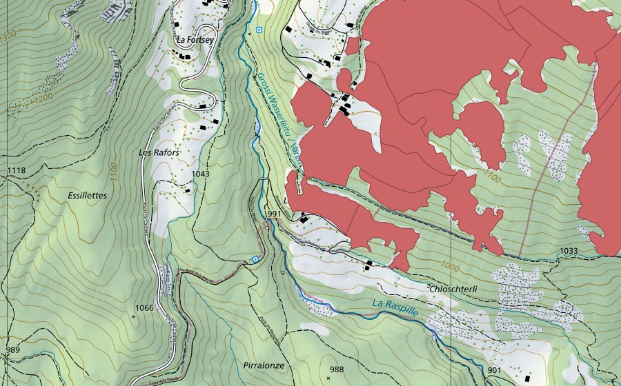swisstopo national map showing the protected perimeter of Blatte (Dry meadow)