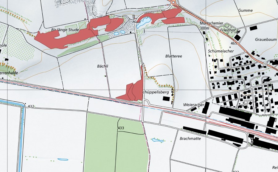 Landeskarte swisstopo mit dem Schutzperimeter von Blatteree (Trockenwiese)