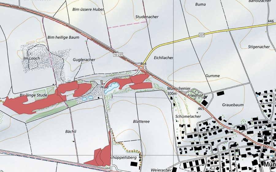 Landeskarte swisstopo mit dem Schutzperimeter von Blatteree (Trockenwiese)