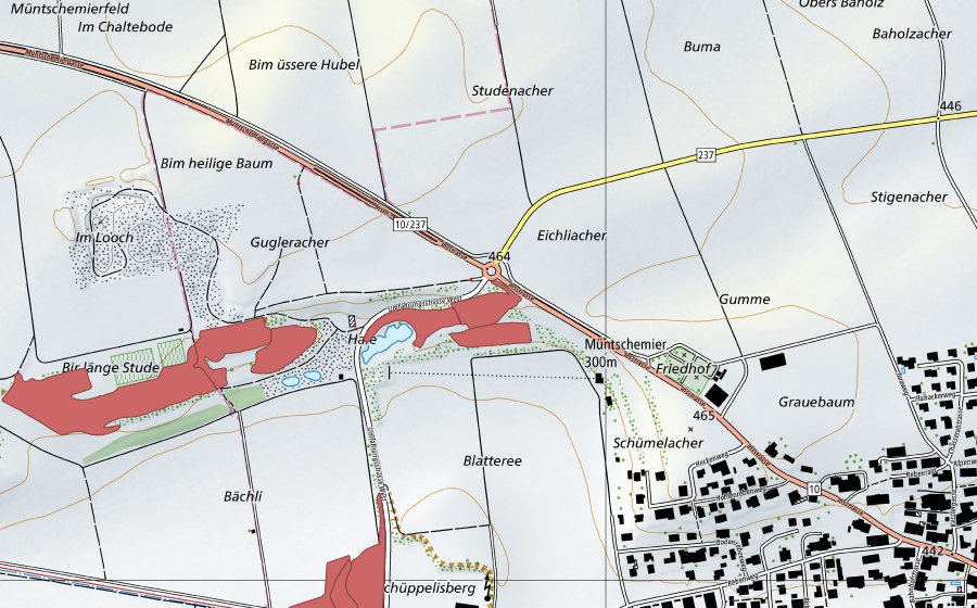 Carte nationale swisstopo avec le périmètre protégé de Blatteree (Prairie sèche)