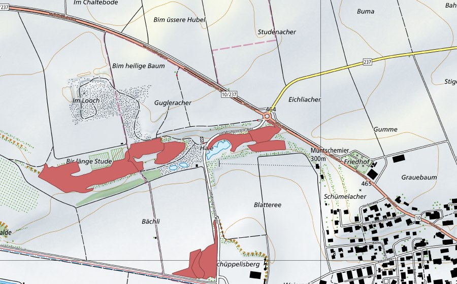 swisstopo national map showing the protected perimeter of Blatteree (Dry meadow)