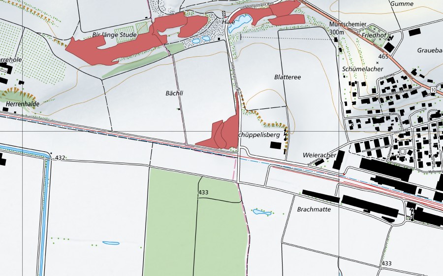 Landeskarte swisstopo mit dem Schutzperimeter von Blatteree (Trockenwiese)