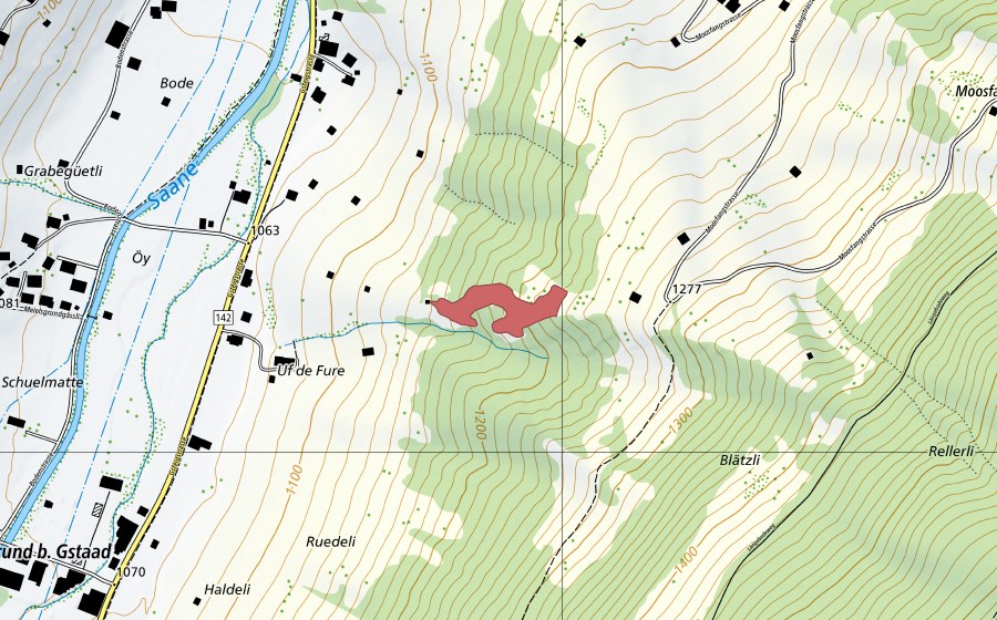 Landeskarte swisstopo mit dem Schutzperimeter von Blätzli (Trockenwiese)