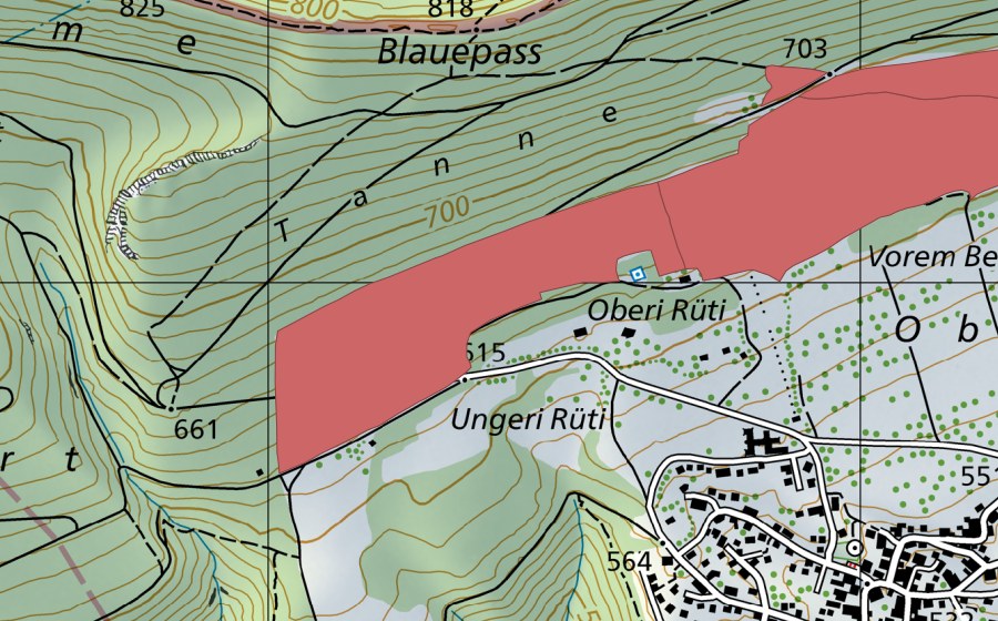 swisstopo national map showing the protected perimeter of Blauenweide (Dry meadow)