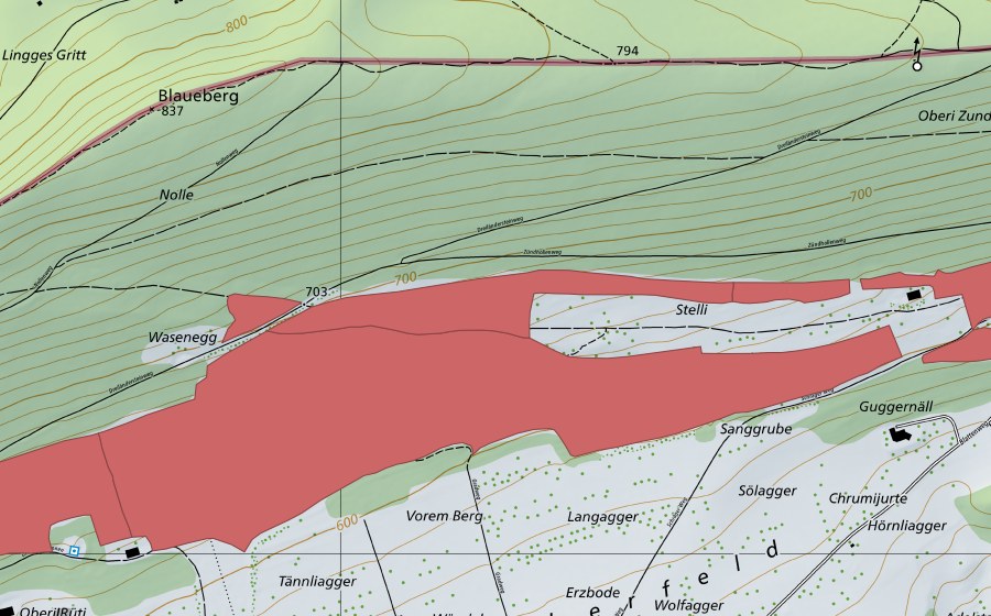 swisstopo national map showing the protected perimeter of Blauenweide (Dry meadow)