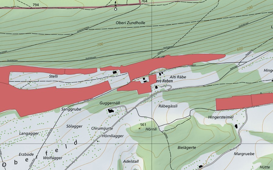 swisstopo national map showing the protected perimeter of Blauenweide (Dry meadow)