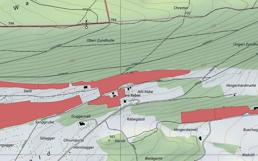 Landeskarte swisstopo mit dem Schutzperimeter von Blauenweide (Trockenwiese)