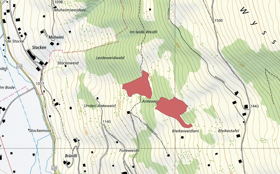 swisstopo national map showing the protected perimeter of Bleikestafel (Dry meadow)