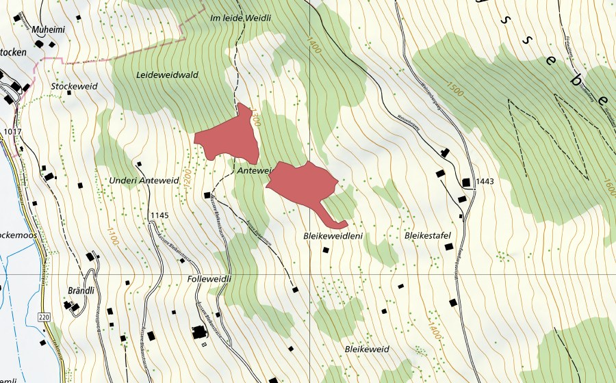 Landeskarte swisstopo mit dem Schutzperimeter von Bleikestafel (Trockenwiese)